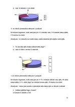 Referāts 'Rīgas "Dinamo"', 20.