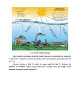 Diplomdarbs 'Biomasas granulu izmantošana apkures iekārtās', 10.