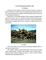 Diplomdarbs 'Biomasas granulu izmantošana apkures iekārtās', 12.