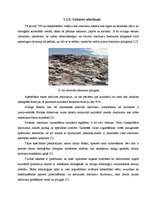 Diplomdarbs 'Biomasas granulu izmantošana apkures iekārtās', 20.