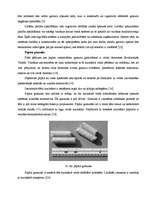 Diplomdarbs 'Biomasas granulu izmantošana apkures iekārtās', 25.