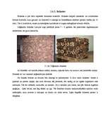 Diplomdarbs 'Biomasas granulu izmantošana apkures iekārtās', 28.