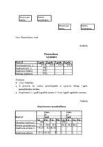 Referāts 'Būvražošanas plānošana un prognozēšana', 10.