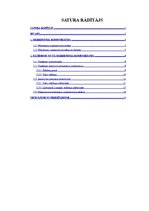 Referāts 'Reklāma kā mārketinga komunikācijas elements uzņēmumā "X"', 1.