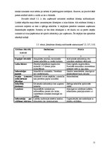 Referāts 'Reklāma kā mārketinga komunikācijas elements uzņēmumā "X"', 13.