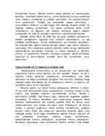 Referāts 'Ofšori', 4.