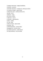 Referāts 'Kaņepju betona izgatavošana un tā īpašības', 11.