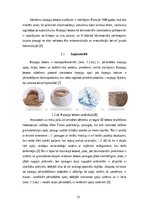 Referāts 'Kaņepju betona izgatavošana un tā īpašības', 13.