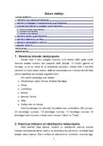 Prakses atskaite 'Profesionālās prakses atskaite "Islande Hotel"', 2.