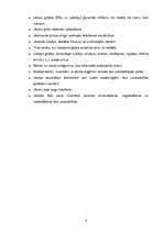 Prakses atskaite 'Profesionālās prakses atskaite "Islande Hotel"', 8.