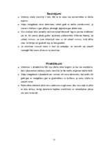 Prakses atskaite 'Profesionālās prakses atskaite "Islande Hotel"', 13.