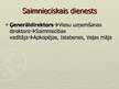 Prakses atskaite 'Profesionālās prakses atskaite "Islande Hotel"', 21.
