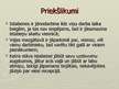 Prakses atskaite 'Profesionālās prakses atskaite "Islande Hotel"', 25.