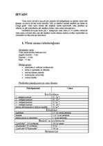 Referāts 'Viesu nama dokumentācija', 4.