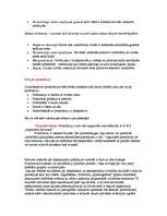 Konspekts 'Prostitūcija', 3.