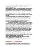 Konspekts 'Prostitūcija', 5.