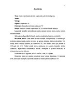 Diplomdarbs 'Анализ финансового состояния предприятия по производству биотоплива', 4.