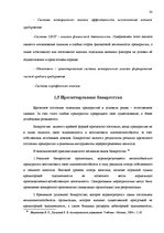 Diplomdarbs 'Анализ финансового состояния предприятия по производству биотоплива', 30.