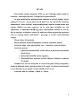 Referāts 'SIA kā viena no komercdarbības formām Latvijā', 4.