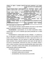 Referāts 'SIA kā viena no komercdarbības formām Latvijā', 8.