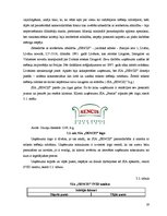 Referāts 'SIA kā viena no komercdarbības formām Latvijā', 19.