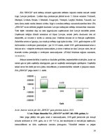 Referāts 'SIA kā viena no komercdarbības formām Latvijā', 26.