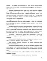 Referāts 'SIA kā viena no komercdarbības formām Latvijā', 30.