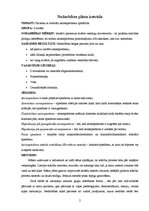 Referāts 'Medicīnas māsas pedagoģijas darbības specifika atšķirīgās mērķauditorijās', 2.