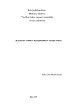 Prakses atskaite 'B.Ņūmenas veselības aprūpes sistēmas modeļa analīze', 1.