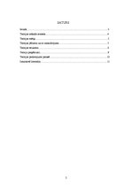 Prakses atskaite 'B.Ņūmenas veselības aprūpes sistēmas modeļa analīze', 2.