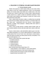 Referāts 'Tūrisma nozares attīstība, viesnīcu un citu tūrisma mītņu raksturojums Latvijā n', 5.