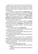 Konspekts 'Literārās valodas paveidi', 4.