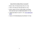 Referāts 'Personības konflikta īpatnības', 12.