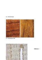 Referāts 'Dzelzs koks', 12.