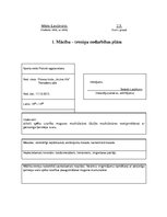 Konspekts 'Spēka izturības attīstīšana muguras muskulatūrai (dziļās muskulatūras nostiprinā', 1.