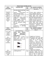 Konspekts 'Spēka izturības attīstīšana muguras muskulatūrai (dziļās muskulatūras nostiprinā', 2.