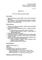 Paraugs 'Pretestība maiņstrāvas ķēdē', 1.