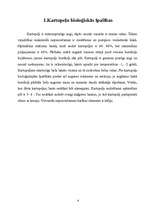 Referāts 'Kartupeļu audzēšana', 4.