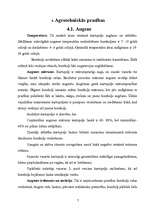 Referāts 'Kartupeļu audzēšana', 7.