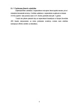 Biznesa plāns 'SIA biznesa plāns', 8.