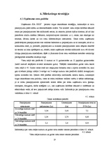 Biznesa plāns 'SIA biznesa plāns', 19.