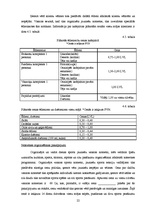 Biznesa plāns 'SIA biznesa plāns', 22.