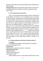 Biznesa plāns 'SIA biznesa plāns', 24.