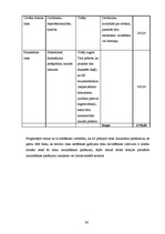 Biznesa plāns 'SIA biznesa plāns', 38.