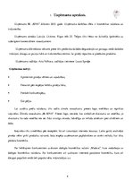 Biznesa plāns 'Biznesa plāns IK "Ieva"', 4.