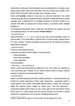 Referāts 'Parlamentāras republikas raksturojums', 8.