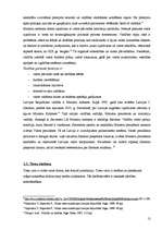 Referāts 'Parlamentāras republikas raksturojums', 10.