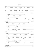 Diplomdarbs 'Kansai dialekts Japānas populārajā kultūrā - anime un manga', 6.