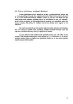 Biznesa plāns 'SIA "Magnētiņš"', 13.