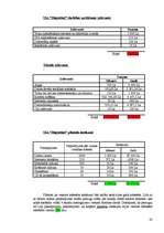 Biznesa plāns 'SIA "Magnētiņš"', 20.